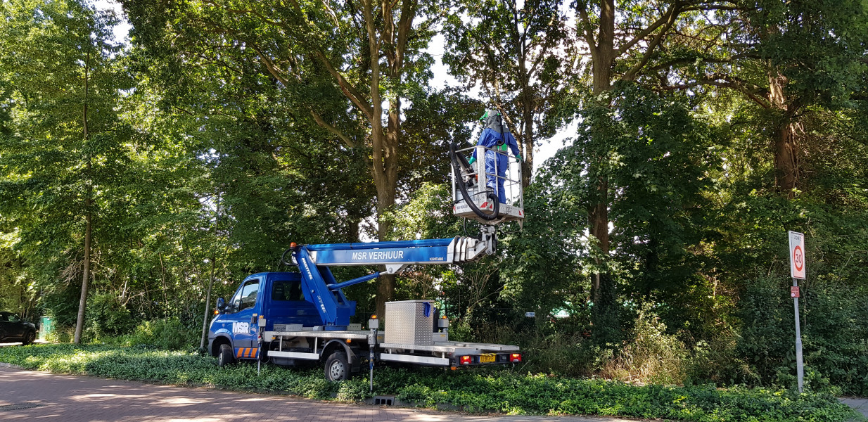 Zo draagt Axxent bij aan een zomer zonder jeuk.