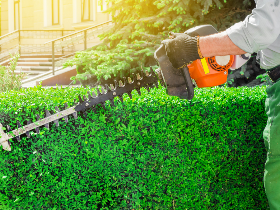 Vacature medewerker groenvoorziening Axxent